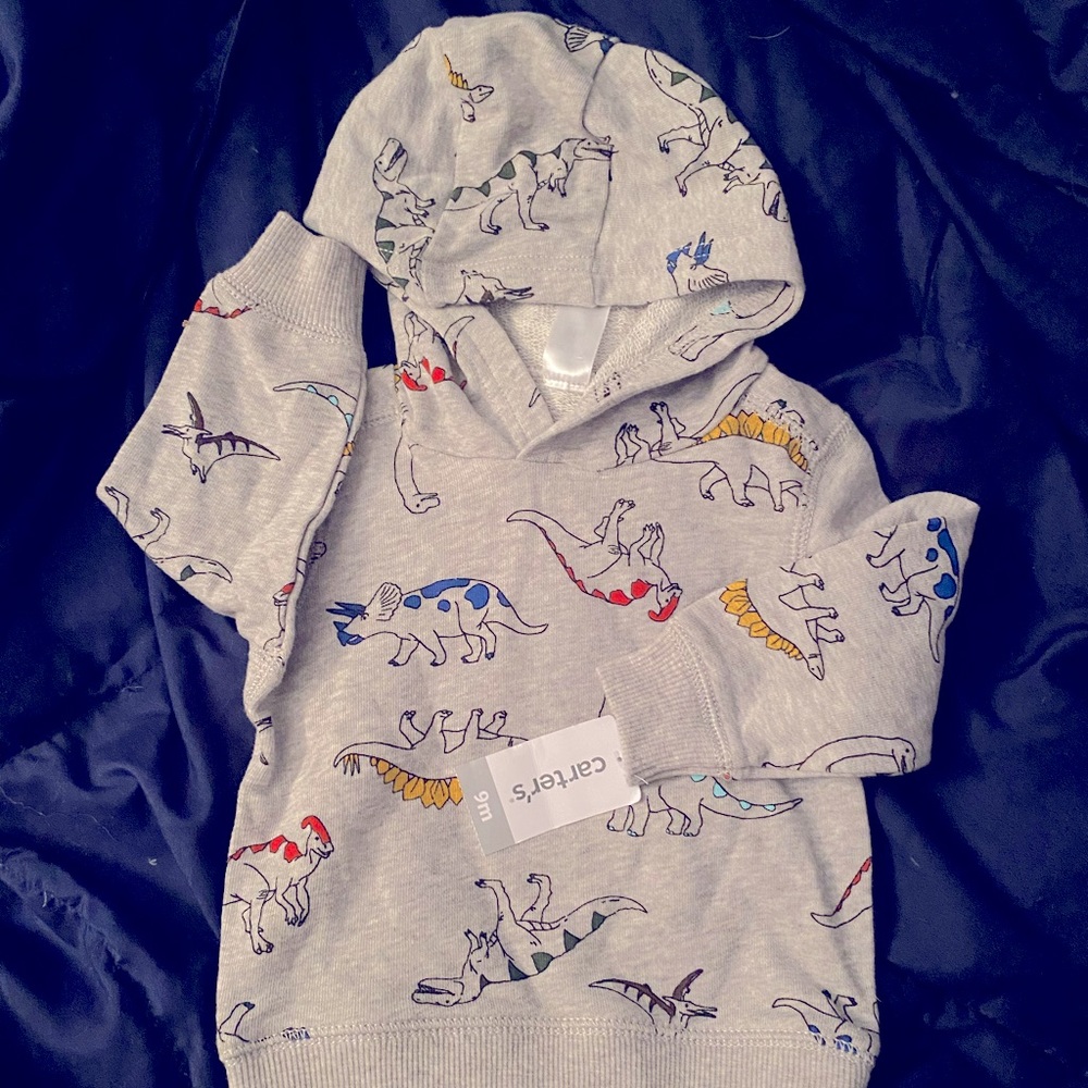 NWT hoodie 9 months